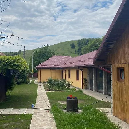 Casa De Vacanta - Ograda Cu Flori Almas
